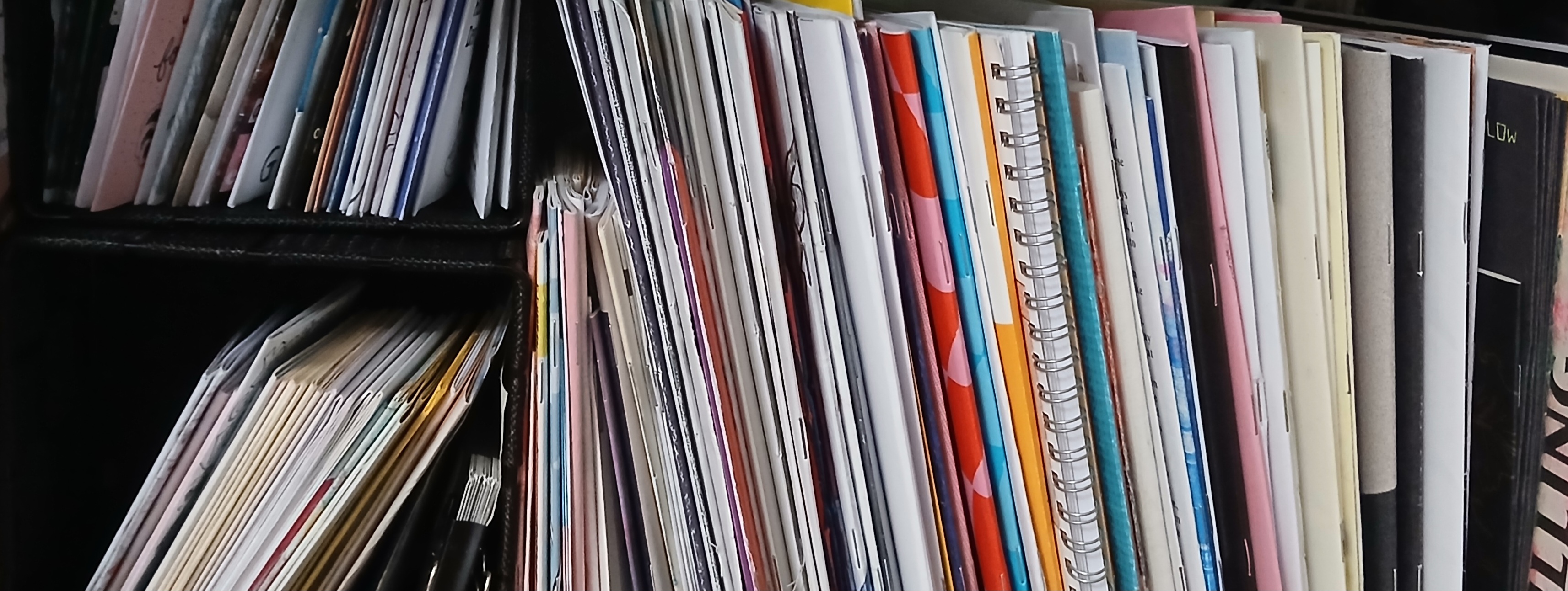 webpage banner, an image of zines on a bookshelf